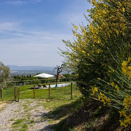 B&B Fonteroncone Di Kryvuta Oksana-3